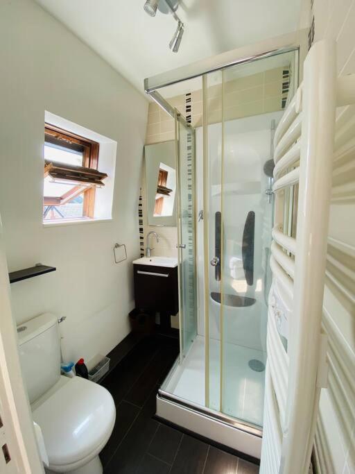 Cosy Duplex Centre Parking Gratuit Apartment *