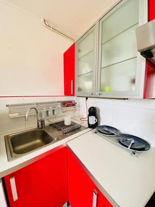 Cosy Duplex Centre Parking Gratuit Apartment *